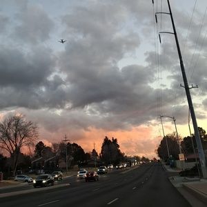 Meet your Posher, Sophie